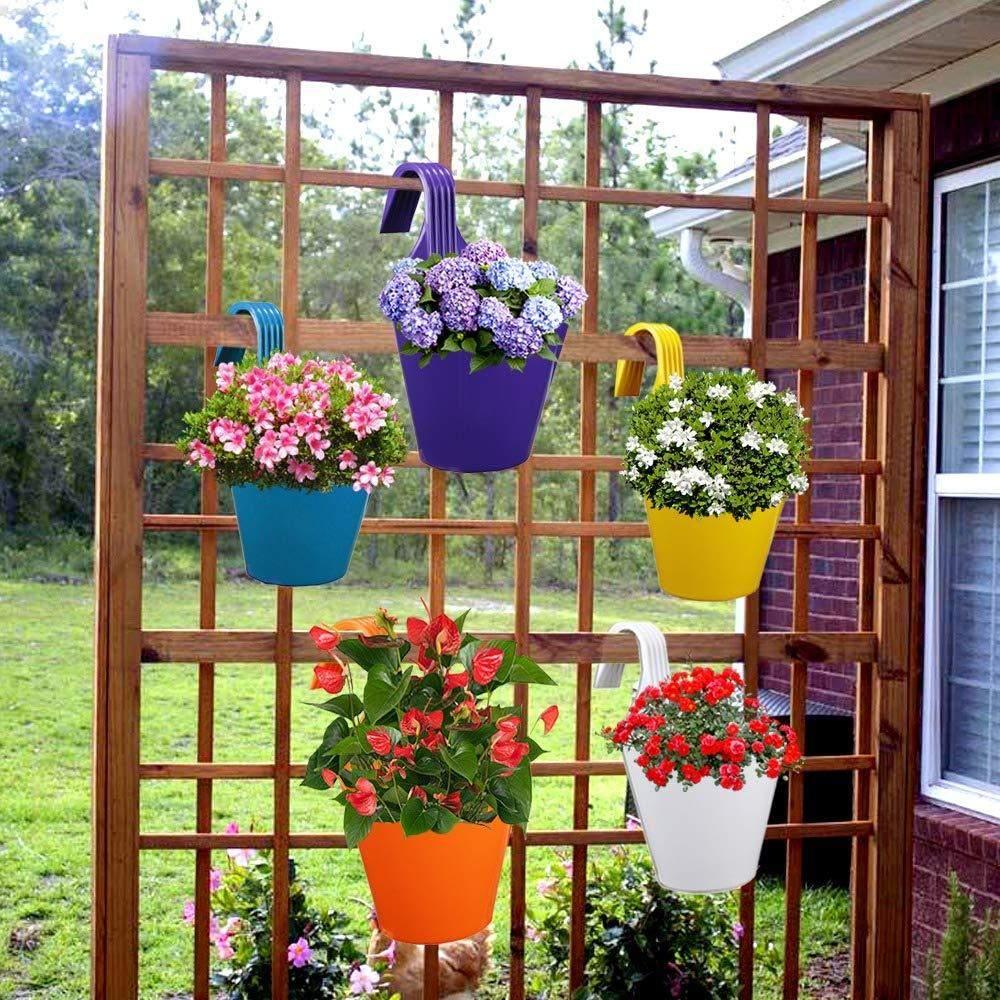 Hook Shape Large Plant Pot ( Pack Of 5 )-Mini Garden-