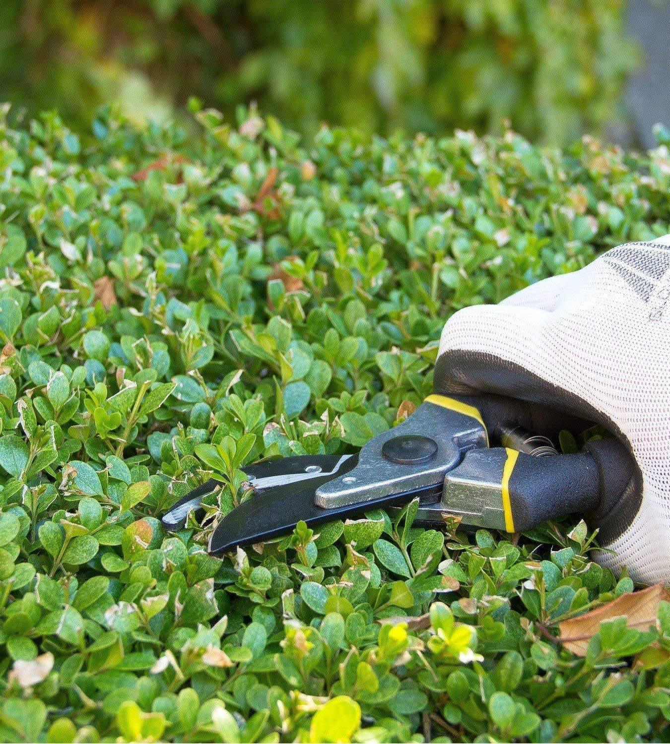 Minigarden Heavy Duty Hand Pruning Shears Cutter-Minigarden-Gardening
