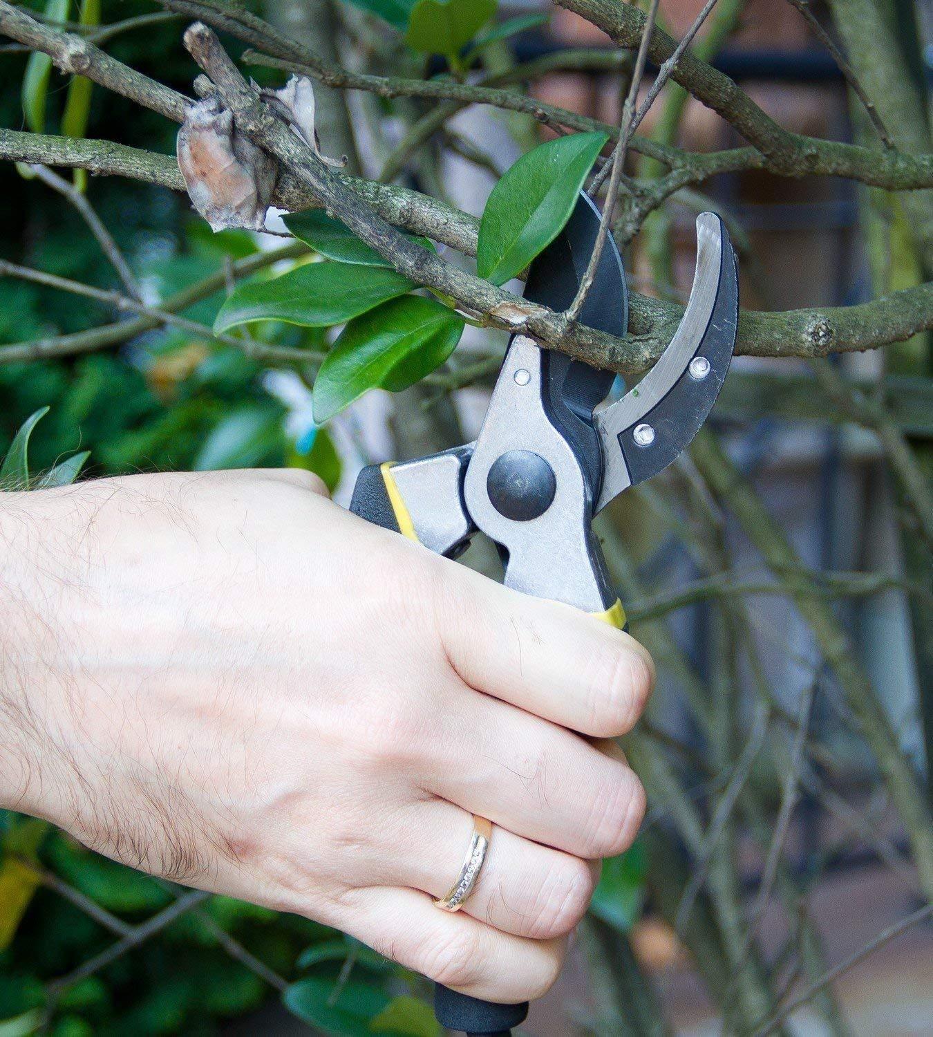 Minigarden Heavy Duty Hand Pruning Shears Cutter-Minigarden-Gardening